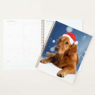 Weihnachten Süß Golden Retriever Hund Santa Hut Sc Planer