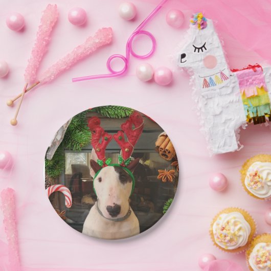 Weihnachten-Teller Pappteller (Party)