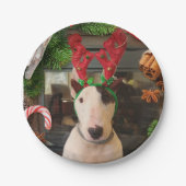 Weihnachten-Teller Pappteller (Vorderseite)