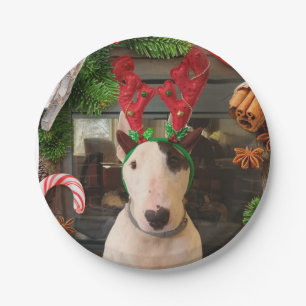 Weihnachten-Teller Pappteller