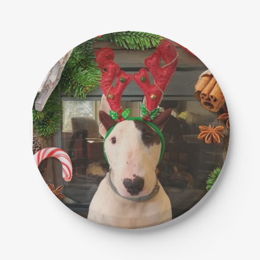 Weihnachten-Teller Pappteller (Vorderseite)