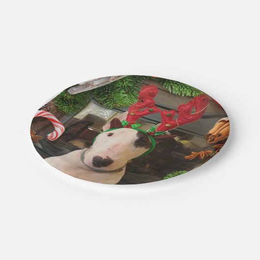 Weihnachten-Teller Pappteller (Schrägansicht)