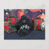 Weihnachten - Toby - Poodle (Vorderseite)