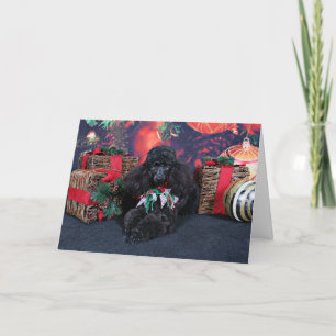 Weihnachten - Toby - Poodle