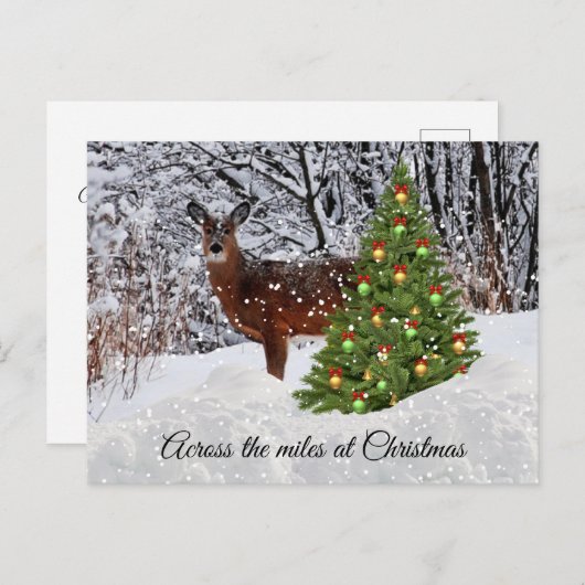 Weihnachten über die Miles Deer Snow Postkarte (Vorne/Hinten)