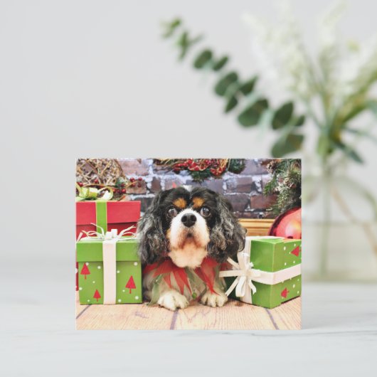 Weihnachten - unbekümmerter Königcharles Spaniel - (Stehend Vorderseite)