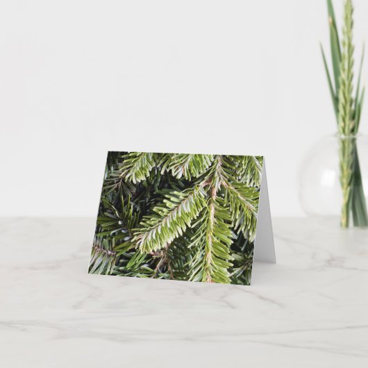 Weihnachten Urlaub Evergreen Pine Tree Hintergrund (Vorderseite)
