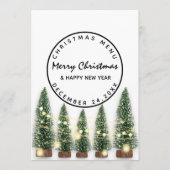 Weihnachten Urlaub Winter Menü Light Green Whit Menükarte (Vorderseite)