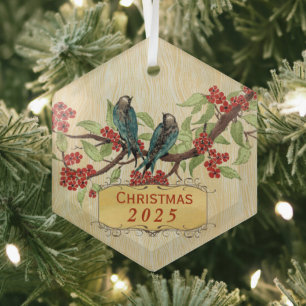 Weihnachten Vintage Vögel Rot Aquamarin Ornament Aus Glas