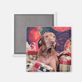 Weihnachten - Vizsla - Budda Magnet (Vorderseite/Rückseite)