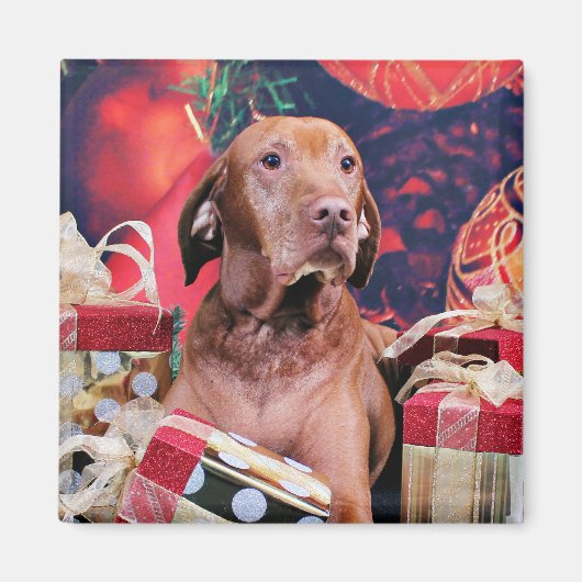 Weihnachten - Vizsla - Budda Magnet (Vorne)