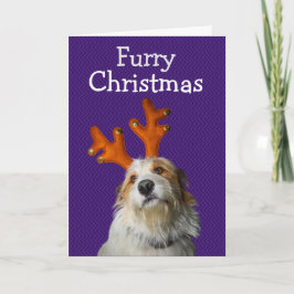 Weihnachten vom Hund Dankeskarte