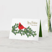Weihnachten von allen US Roten Kardinal Kiefernzwe (Vorderseite)