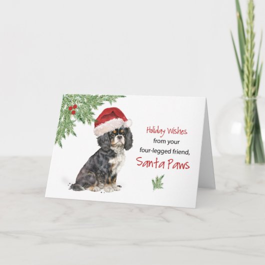 Weihnachten von Cavalier King Charles Spaniel Dog Karte (Vorderseite)