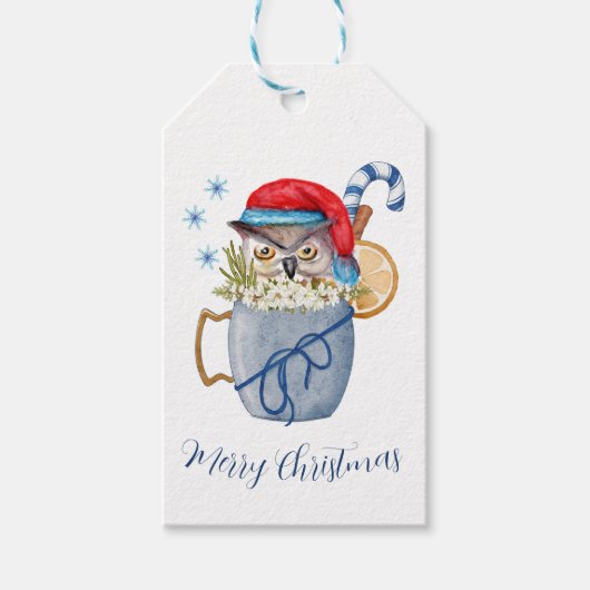 Weihnachten Wasserfarbe Owl Rote Weihnachtsmannmüt Geschenkanhänger (Vorderseite)