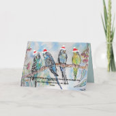 Weihnachten Weihnachten Budgie Feiertage Karte (Rückseite)