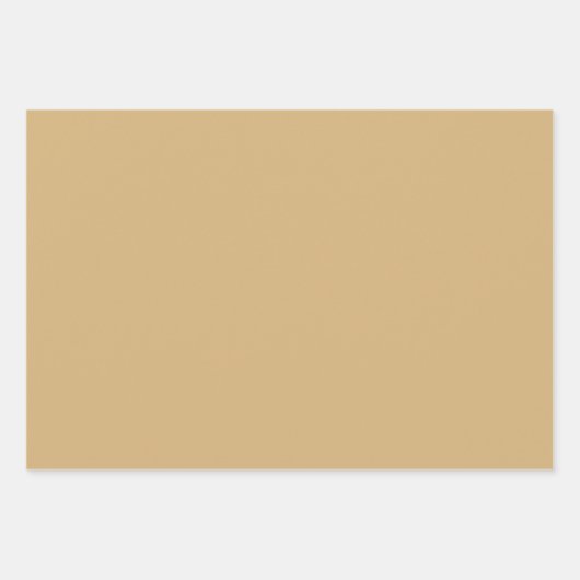 Weihnachten Weihnachten Einfaches Design Elegante Geschenkpapier Set (Vorderseite 2)