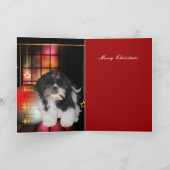 Weihnachten Weihnachten Hund Shitzu Welpe (Innenseite)