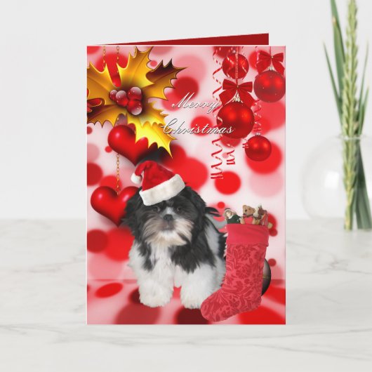 Weihnachten Weihnachten Hund Shitzu Welpe Hat gehö (Vorderseite)