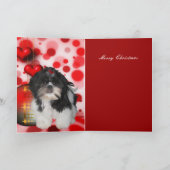 Weihnachten Weihnachten Hund Shitzu Welpe Hat gehö (Innenseite)