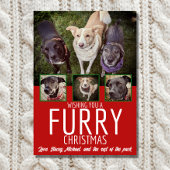 Weihnachten Weihnachten Multi Foto Dog Collage Wei