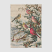 Weihnachten Weihnachten Songbirds Winter Seidenpapier (Vorderseite)