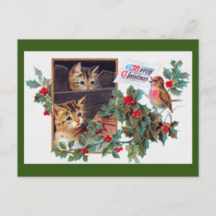 Weihnachten, Weihnachten und Kleiner Vogel Postkarte