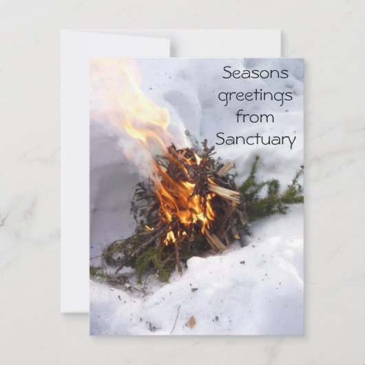 Weihnachten-Weihnachtsgruß-Karten-Sammlung Dankeskarte (Vorderseite)