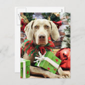 Weihnachten - Weimaraner - Lucy (Vorne/Hinten)