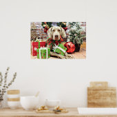 Weihnachten - Weimaraner - Lucy Poster (Küche)