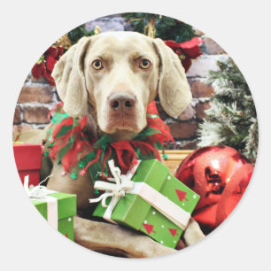 Weihnachten - Weimaraner - Lucy Runder Aufkleber
