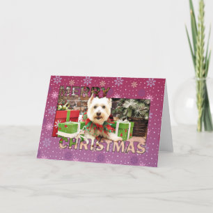 Weihnachten - Westhochland Terrier - Abby