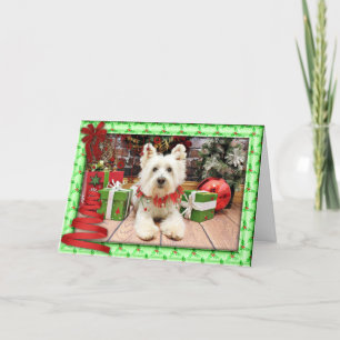 Weihnachten - Westhochland Terrier - Polo