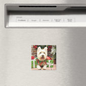 Weihnachten - Westie - Glück Magnet (In Situ (Geschirrspüler))