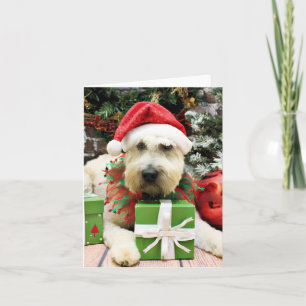 Weihnachten - Wheaten Terrier - Bailey
