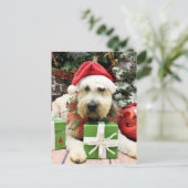 Weihnachten - Wheaten Terrier - Bailey (Stehend Vorderseite)