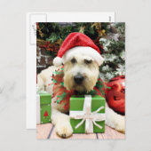 Weihnachten - Wheaten Terrier - Bailey (Vorne/Hinten)