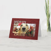 Weihnachten - Windhund - Pena (Vorderseite)