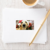 Weihnachten - Windhund - Pena Adressaufkleber (Insitu)