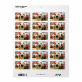 Weihnachten - Windhund - Pena Adressaufkleber (Vorne)