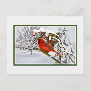 Weihnachten, Winter, Kardinal Bird, Schnee, Postka Feiertagspostkarte