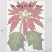 Weihnachten, Winter-Pflanze Red Poinsettia (Vorderseite)