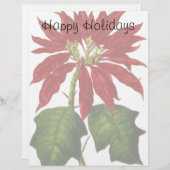 Weihnachten, Winter-Pflanze Red Poinsettia (Vorne/Hinten)