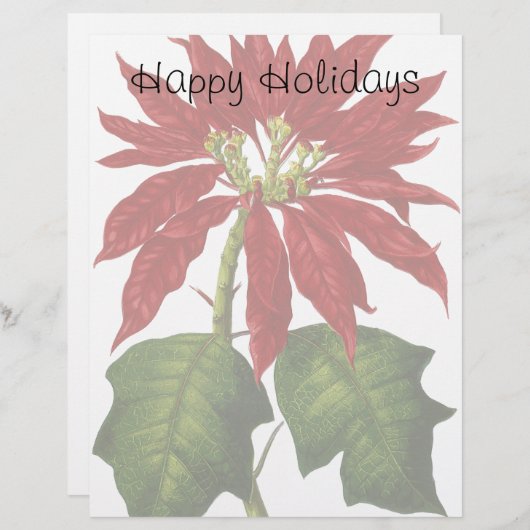 Weihnachten, Winter-Pflanze Red Poinsettia (Vorne/Hinten)