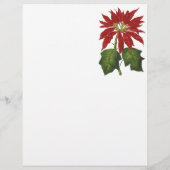 Weihnachten, Winter-Pflanze Red Poinsettia Flyer (Hinten)