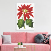 Weihnachten, Winter-Pflanze Red Poinsettia Leinwanddruck (Insitu (Wohnzimmer))