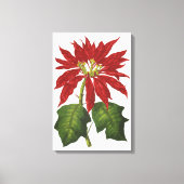 Weihnachten, Winter-Pflanze Red Poinsettia Leinwanddruck (Vorderseite)