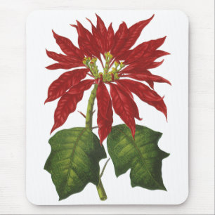 Weihnachten, Winter-Pflanze Red Poinsettia Mousepad