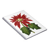 Weihnachten, Winter-Pflanze Red Poinsettia Notizblock (Rechte Seite)