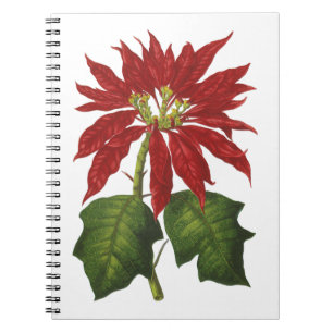 Weihnachten, Winter-Pflanze Red Poinsettia Notizblock
